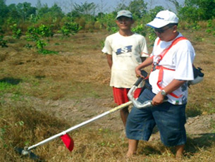 Land Preparation for Rubber Plantation